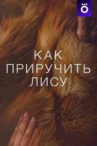 Как приручить лису